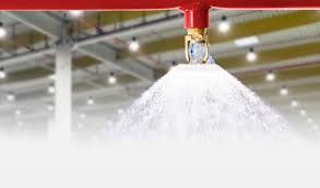 Fire Sprinkler Inspection Project