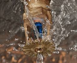 Sprinkler Pipe Repair Project